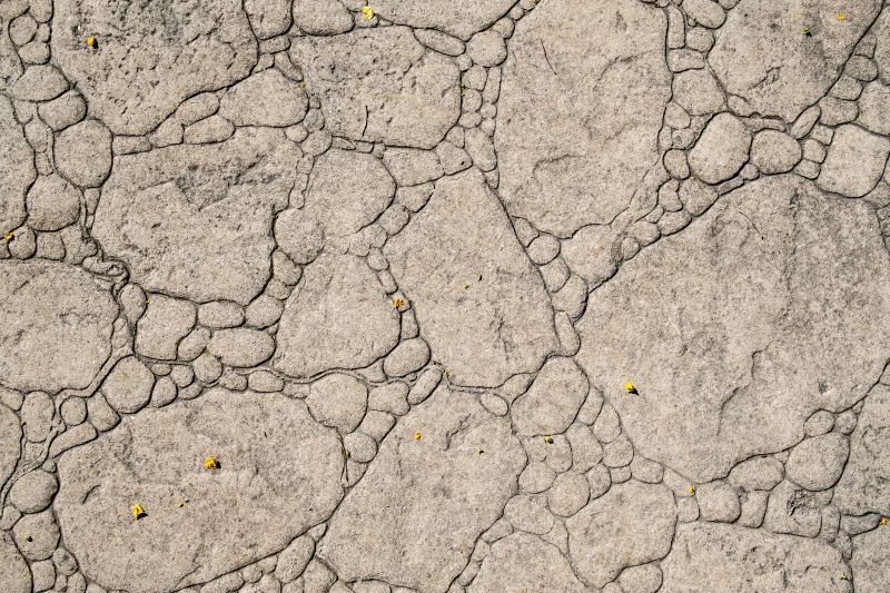 Decorative Concrete Repair in West Palm Beach, FL